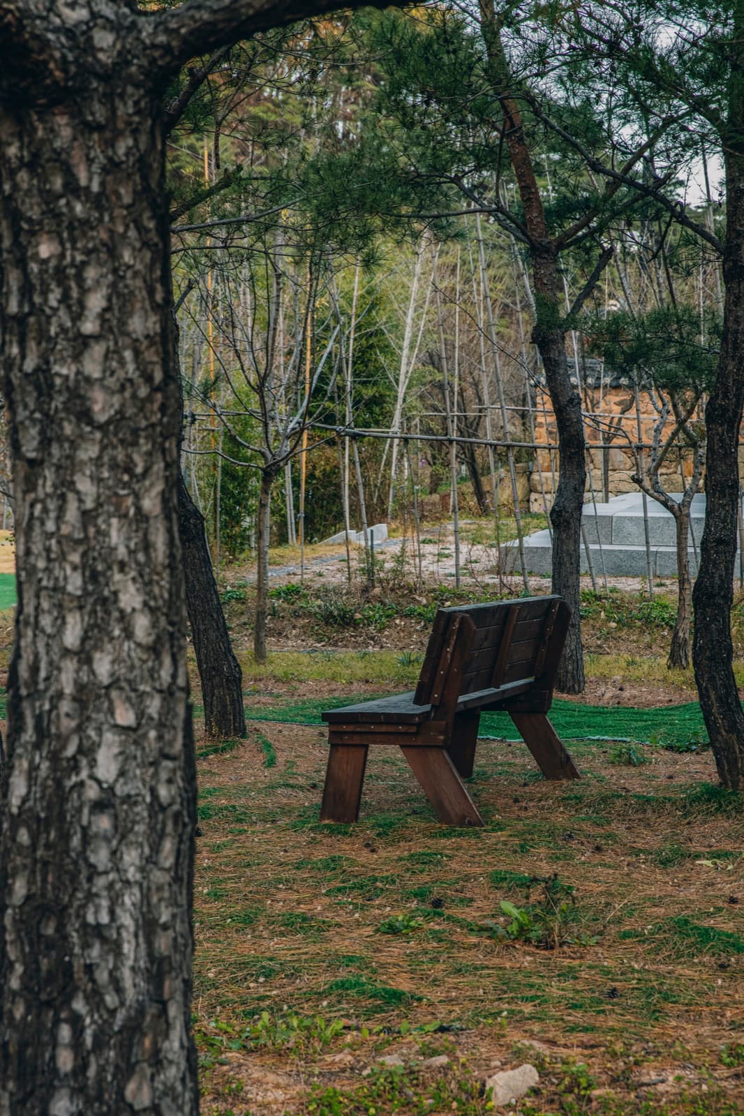 노을 지는 여명